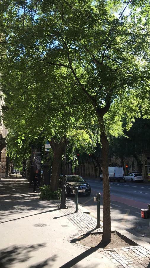 Diamond Apartman Near To Basilica بودابست المظهر الخارجي الصورة